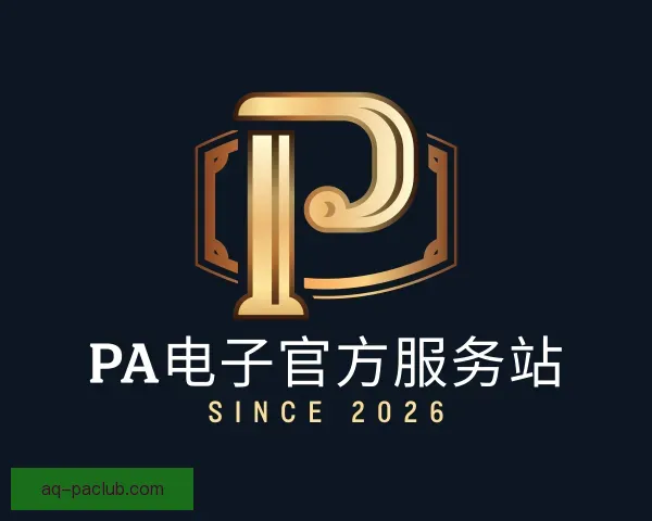 关于PA电子官方服务站